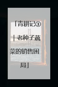 青耕记③｜老种子蔬菜的销售困局