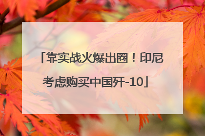 靠实战火爆出圈！印尼考虑购买中国歼-10