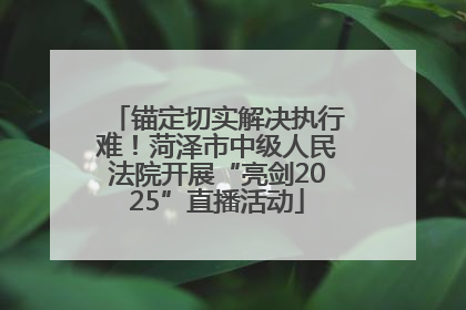 锚定切实解决执行难！菏泽市中级人民法院开展“亮剑2025”直播活动