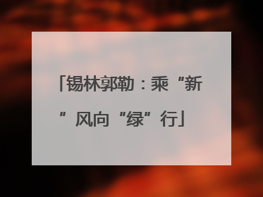 锡林郭勒：乘“新”风向“绿”行