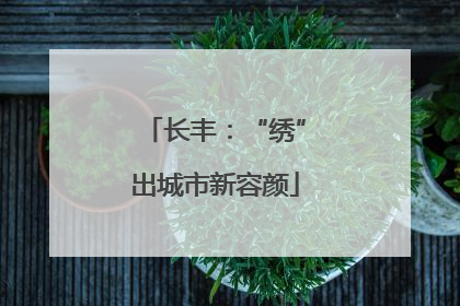 长丰：“绣”出城市新容颜