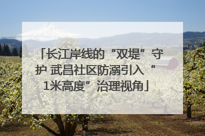 长江岸线的“双堤”守护 武昌社区防溺引入“1米高度”治理视角