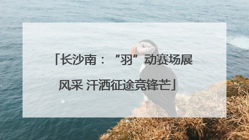 长沙南：“羽”动赛场展风采 汗洒征途竞锋芒