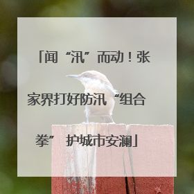 闻“汛”而动！张家界打好防汛“组合拳” 护城市安澜