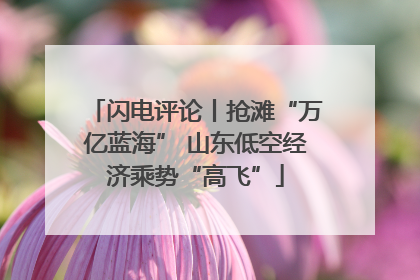 闪电评论丨抢滩“万亿蓝海” 山东低空经济乘势“高飞”