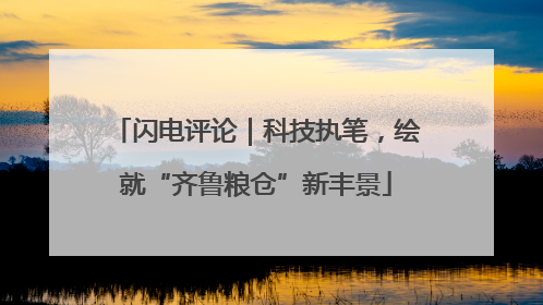 闪电评论｜科技执笔，绘就“齐鲁粮仓”新丰景