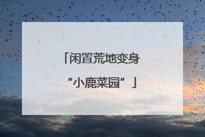 闲置荒地变身“小鹿菜园”