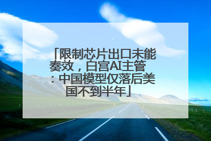 限制芯片出口未能奏效，白宫AI主管：中国模型仅落后美国不到半年