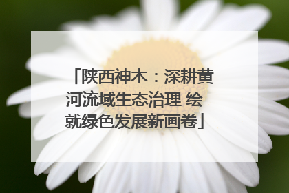 陕西神木：深耕黄河流域生态治理 绘就绿色发展新画卷