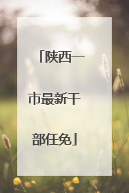 陕西一市最新干部任免