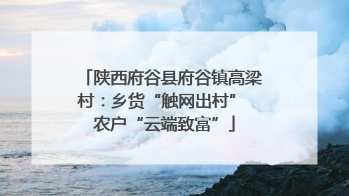 陕西府谷县府谷镇高梁村：乡货“触网出村” 农户“云端致富”