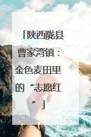 陕西陇县曹家湾镇：金色麦田里的“志愿红”