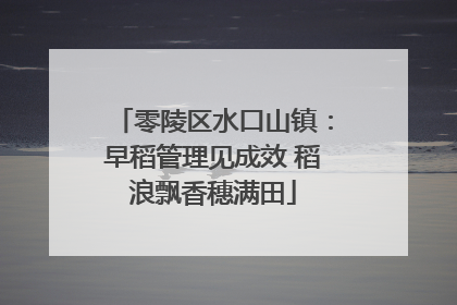 零陵区水口山镇：早稻管理见成效 稻浪飘香穗满田