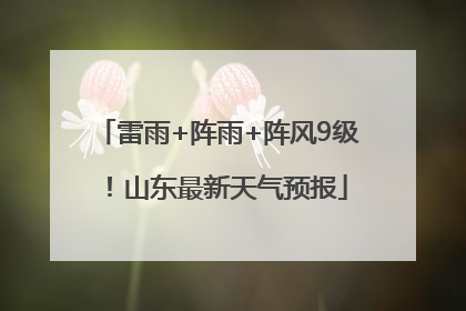 雷雨+阵雨+阵风9级！山东最新天气预报