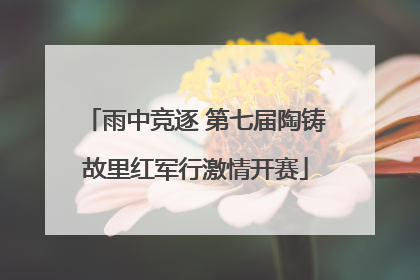 雨中竞逐 第七届陶铸故里红军行激情开赛