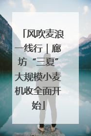 风吹麦浪一线行｜廊坊“三夏”大规模小麦机收全面开始