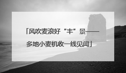 风吹麦浪好“丰”景——多地小麦机收一线见闻