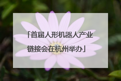 首届人形机器人产业链接会在杭州举办