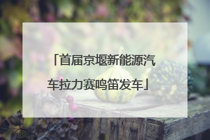首届京堰新能源汽车拉力赛鸣笛发车