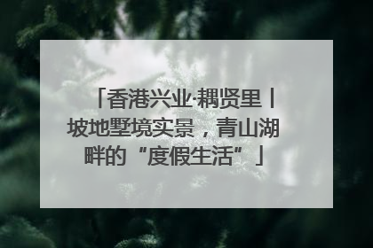 香港兴业·耦贤里丨坡地墅境实景，青山湖畔的“度假生活”