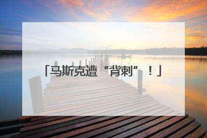 马斯克遭“背刺”！