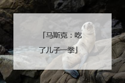 马斯克:吃了儿子一拳