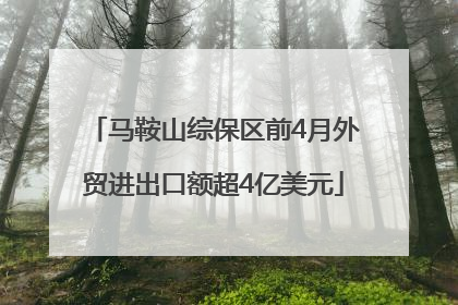 马鞍山综保区前4月外贸进出口额超4亿美元