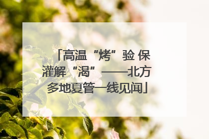 高温“烤”验 保灌解“渴”——北方多地夏管一线见闻