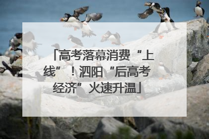 高考落幕消费“上线”！泗阳“后高考经济”火速升温