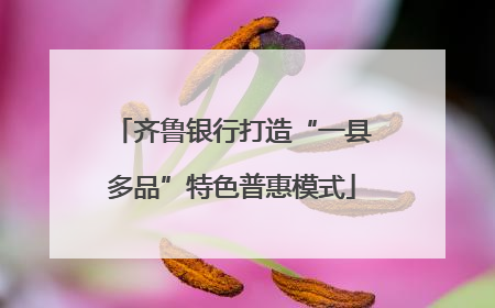 齐鲁银行打造“一县多品”特色普惠模式