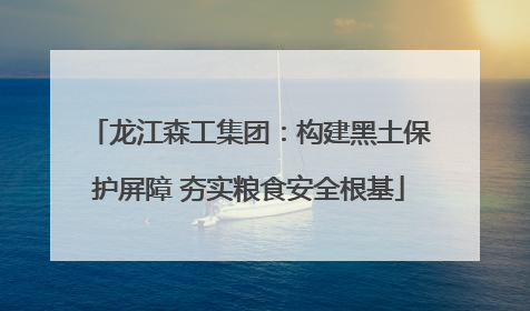 龙江森工集团：构建黑土保护屏障 夯实粮食安全根基