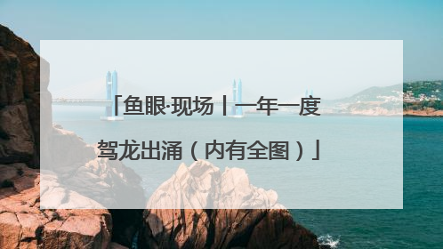 鱼眼·现场丨一年一度 驾龙出涌（内有全图）