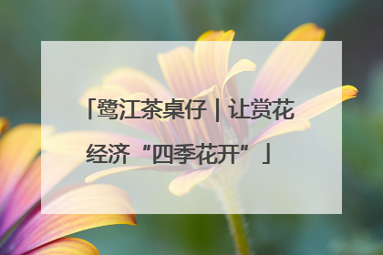 鹭江茶桌仔｜让赏花经济“四季花开”