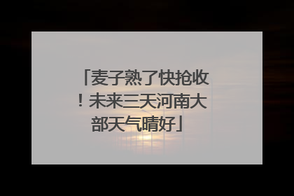 麦子熟了快抢收！未来三天河南大部天气晴好