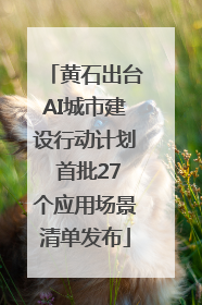 黄石出台AI城市建设行动计划 首批27个应用场景清单发布