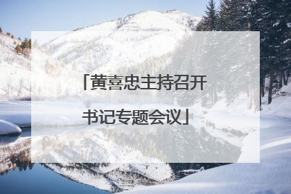 黄喜忠主持召开书记专题会议