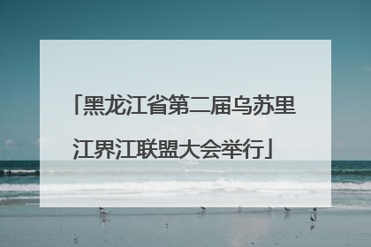 黑龙江省第二届乌苏里江界江联盟大会举行