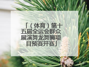 （体育）第十五届全运会群众展演舞龙舞狮项目预赛开赛