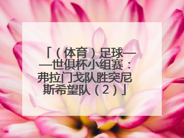 （体育）足球——世俱杯小组赛：弗拉门戈队胜突尼斯希望队（2）