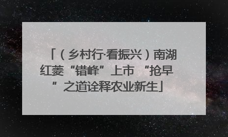 （乡村行·看振兴）南湖红菱“错峰”上市 “抢早”之道诠释农业新生