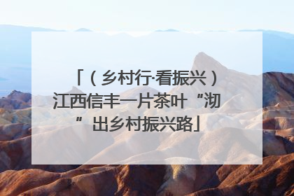 （乡村行·看振兴）江西信丰一片茶叶“沏”出乡村振兴路