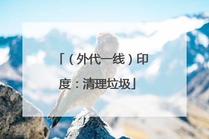 (外代一线)印度:清理垃圾