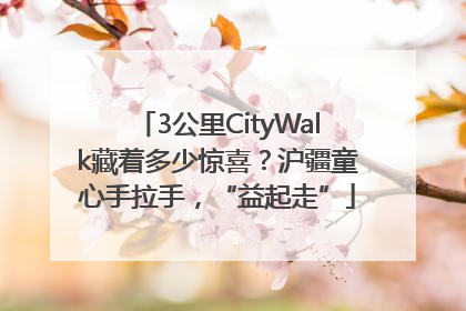 3公里CityWalk藏着多少惊喜？沪疆童心手拉手，“益起走”
