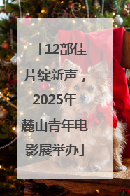 12部佳片绽新声，2025年麓山青年电影展举办
