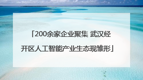 200余家企业聚集 武汉经开区人工智能产业生态现雏形