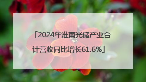 2024年淮南光储产业合计营收同比增长61.6%