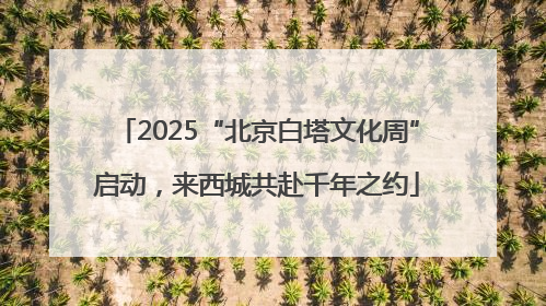 2025“北京白塔文化周”启动，来西城共赴千年之约