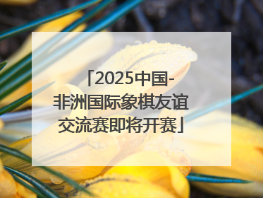 2025中国-非洲国际象棋友谊交流赛即将开赛