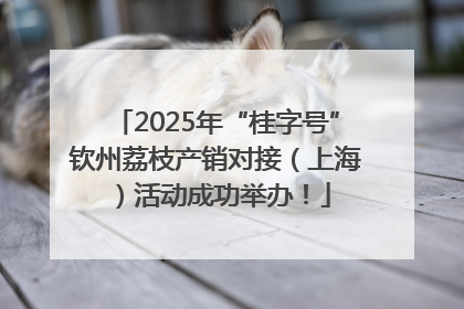 2025年“桂字号”钦州荔枝产销对接（上海）活动成功举办！
