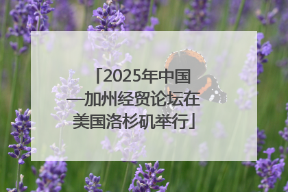 2025年中国—加州经贸论坛在美国洛杉矶举行